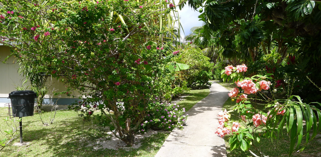 Pension Fare Maeva Huahine - Garten - Tahiti