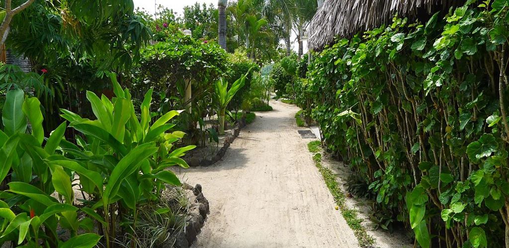 Pension Village Temanuata Bora Bora - Garten - Tahiti
