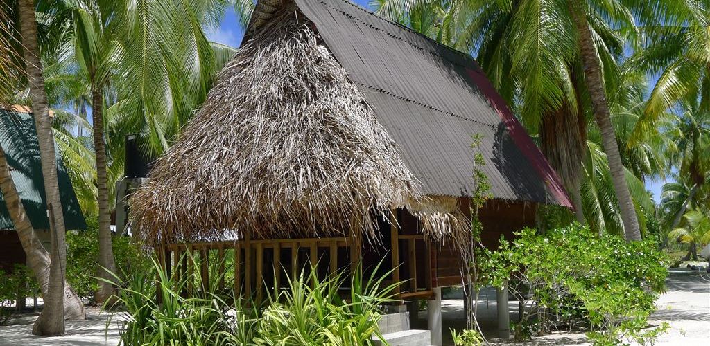 Pension Aito Motel Colette Tikehau - Bungalow - Tahiti
