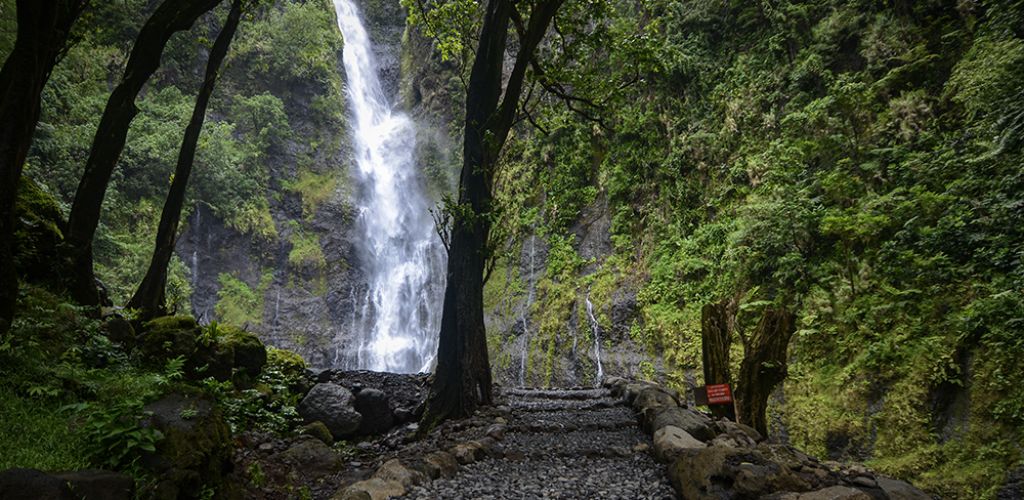 Ausflug Tahiti Museum & Island Tour - Wasserfall - Französisch Polynesien