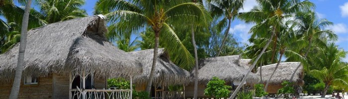 Pension Tikehau Village - Bungalow - Tahiti