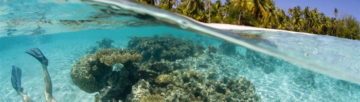 Ausflug Taha'a Bootstour mit Lunch auf einem Motu - Korallen - Tahiti