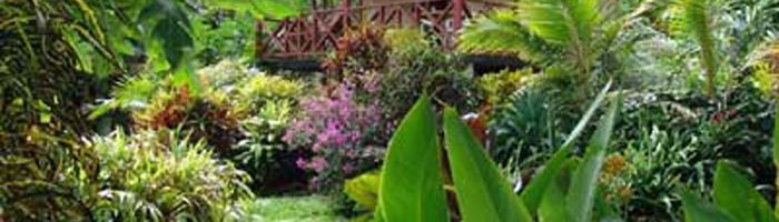 Hotel Tanna Evergreen Tanna - Gartenbungalow - Vanuatu