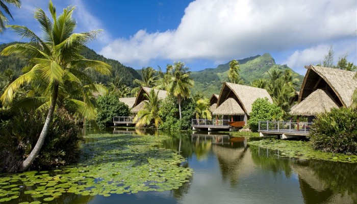 Hotel Maitai Lapita Village Huahine - Seerosenteich - Tahiti