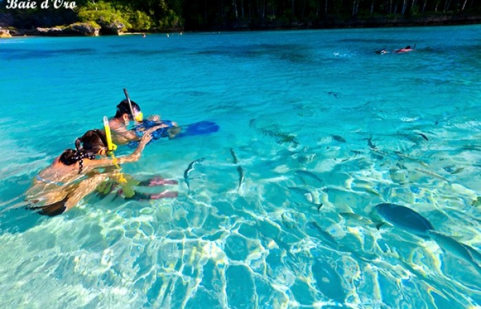 Hotel Nouvelle Caledonie Ile Des Pins Hotel Nouvelle Caledonie Ile Des Pins