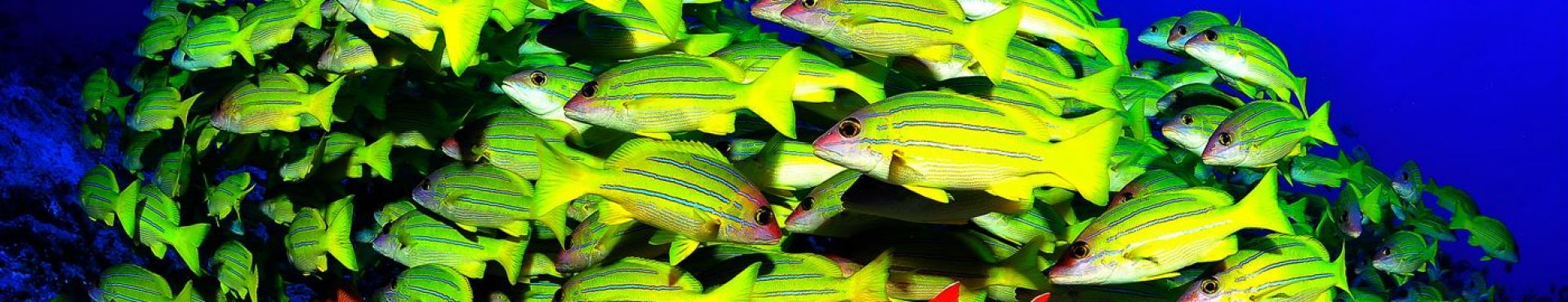 © Gilles DIRAIMONDO AMV Voyages