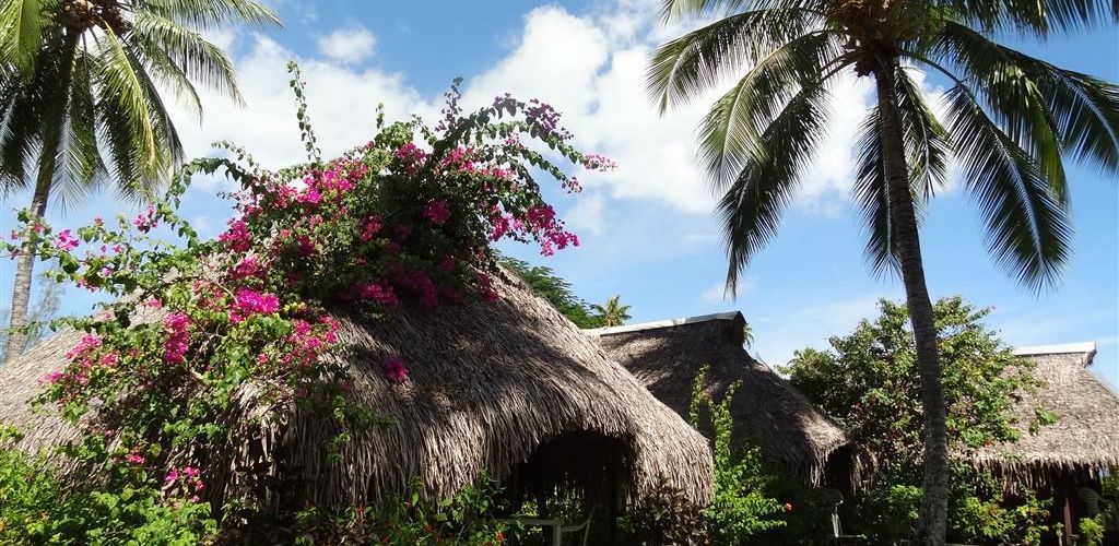 Hotel Hibiscus Moorea - Gartenbungalow - Tahiti