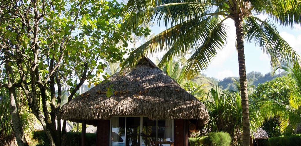 Hotel Les Tipaniers Moorea - Bungalow - Tahiti