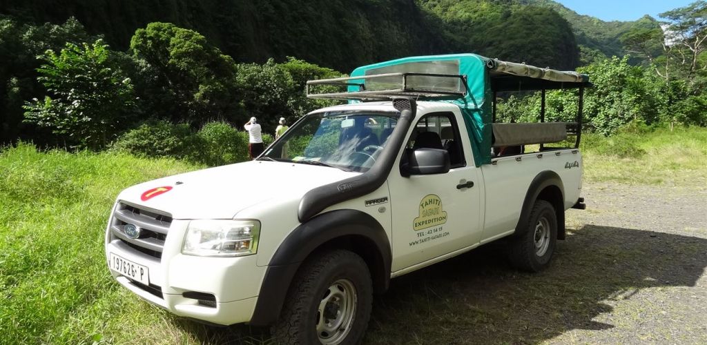 Ausflug Ganztages Safari im Geländewagen Tahiti - Safari - Tahiti