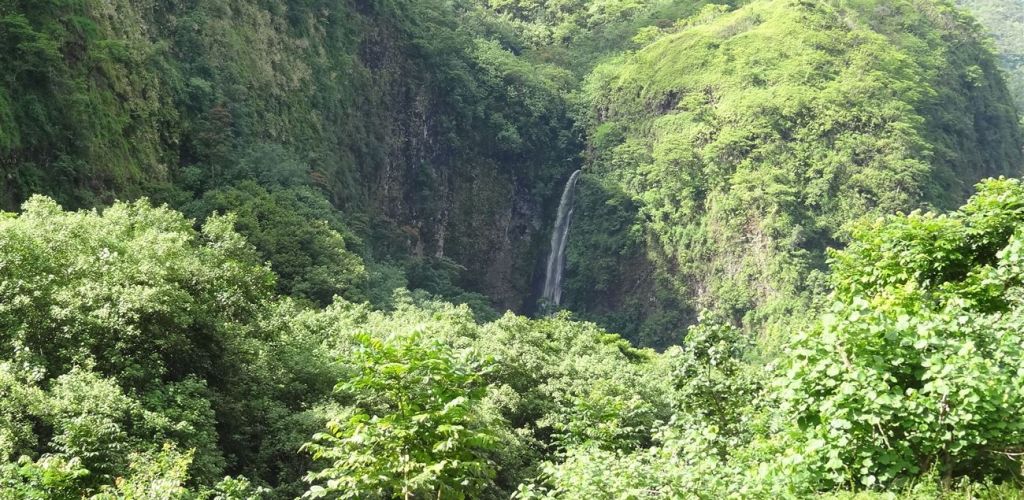 Ausflug Ganztages Safari im Geländewagen Tahiti - Wasserfall - Tahiti