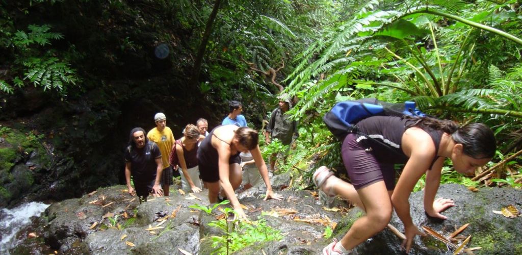 Ausflug Wanderung zu den Wasserfällen Raiatea - wandern - Tahiti