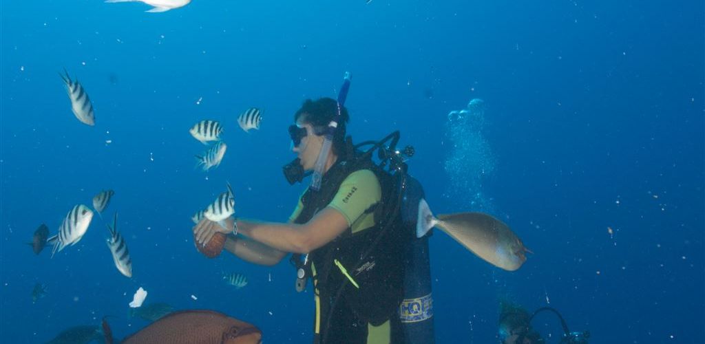 Tauchen Bubbles Below Aitutaki - Taucher - Cook Inseln