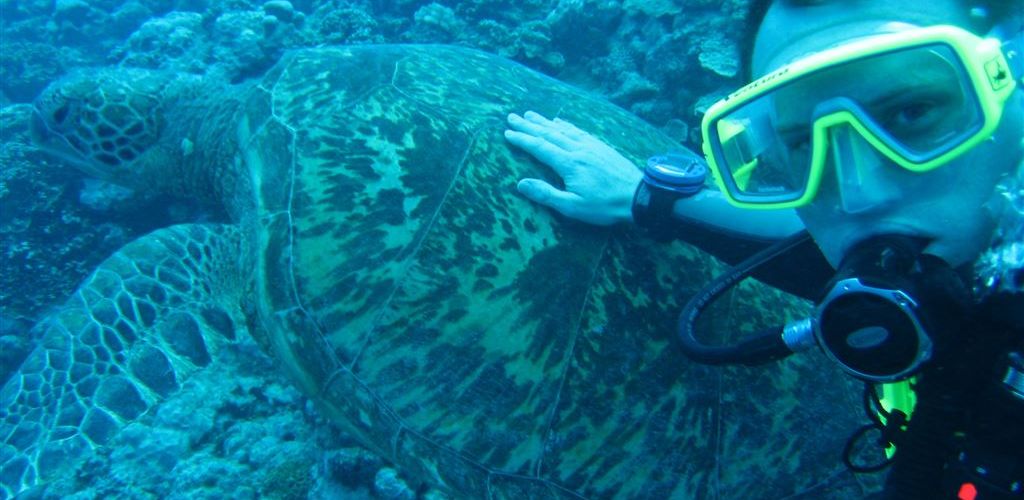 Tauchen Bubbles Below Aitutaki - Fisch - Cook Inseln