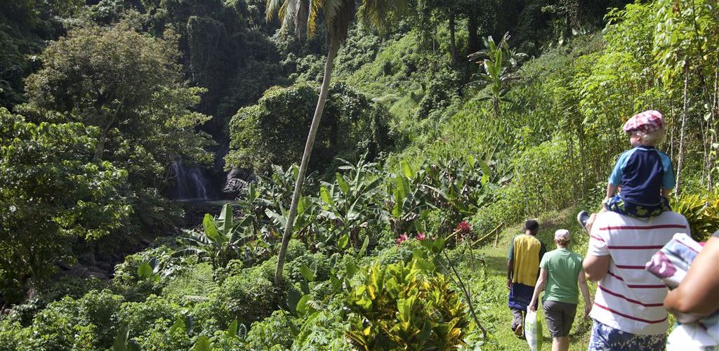 Hotel Savasi Island Vanua Levu - Exkursion auf der Insel - Fiji