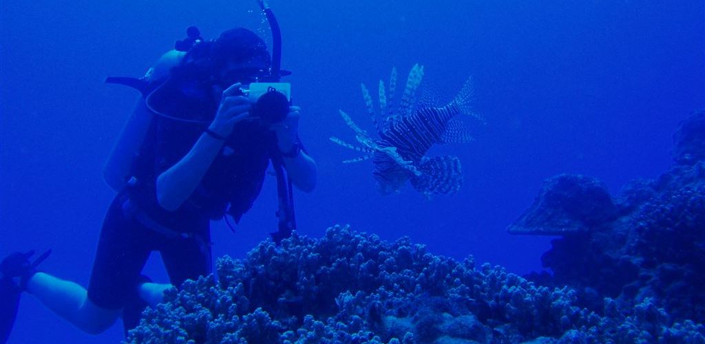 Ausflug Pacific Divers Rarotonga - Unterwasserwelt entdecken - Cook Inseln