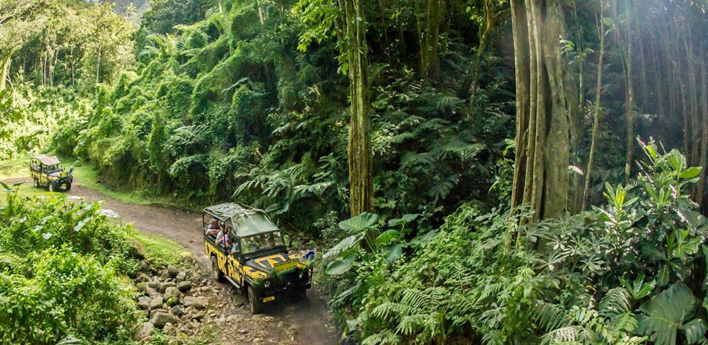 Ausflug Raro Safari Tour Rarotonga - Jeep im Regenwald - Cook Inseln