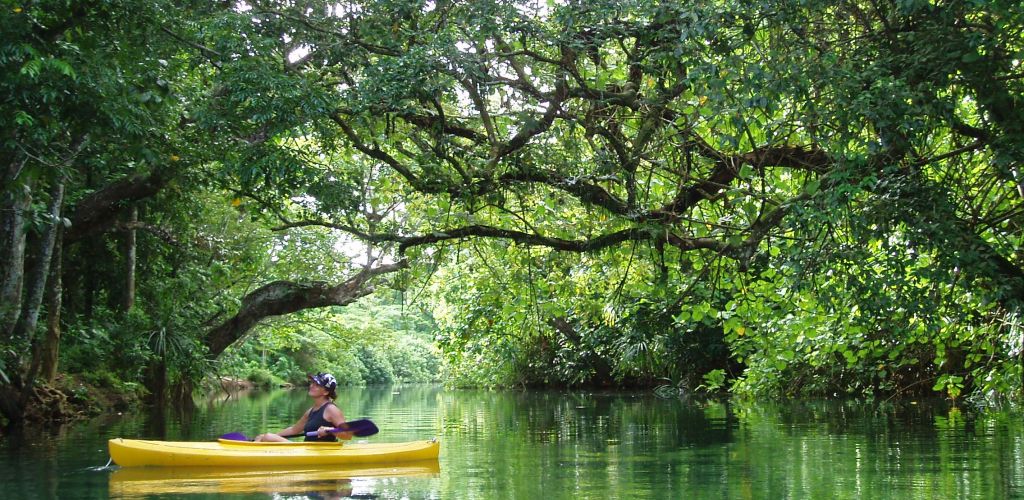 Urlaub Südsee - Regenwald - Vanuatu