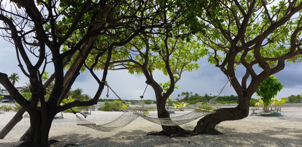 Pension Hakamanu Lodge - Strand - Tahiti