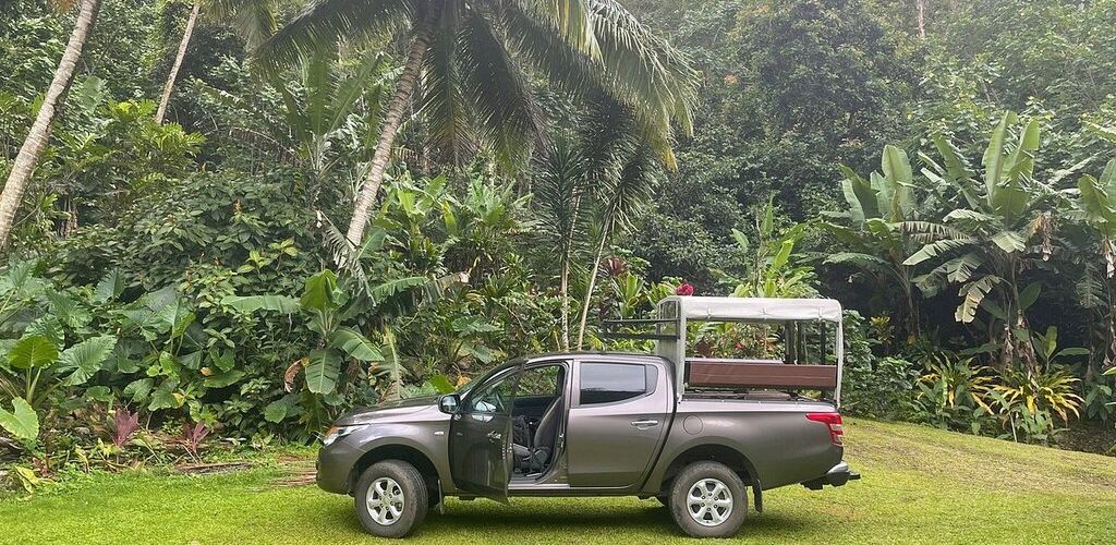 Ausflug Moorea - Afareaitu Wasserfall - Französisch Polynesien