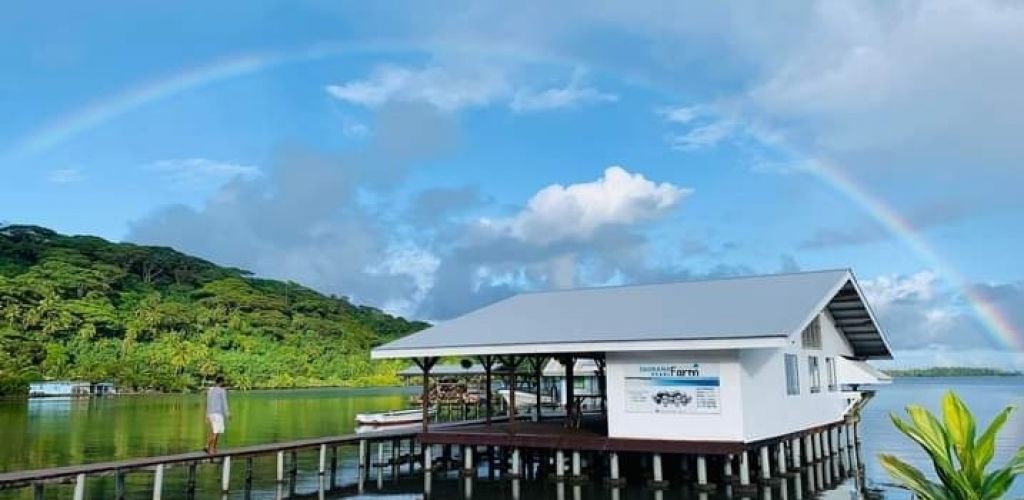 Ausflug Geländewagensafari auf Tahaa - Perlenfarm - Tahiti