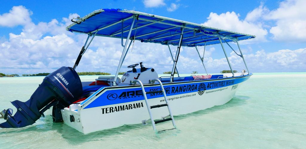 Ausflug Die Blaue Lagune, Seevögel und Rosé de Tahiti Rangiroa - Boot - Tahiti