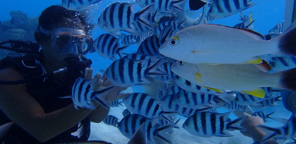 Ausflug Aquasafari Bora Bora - Helmet Dive - Tahiti