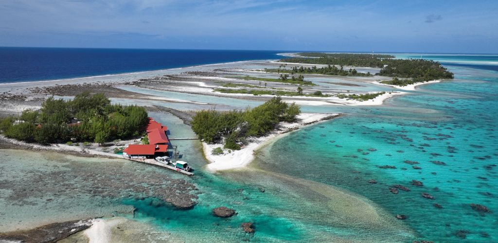 Pension Motu Aito Paradise Fakarava - Lagune - Tahiti