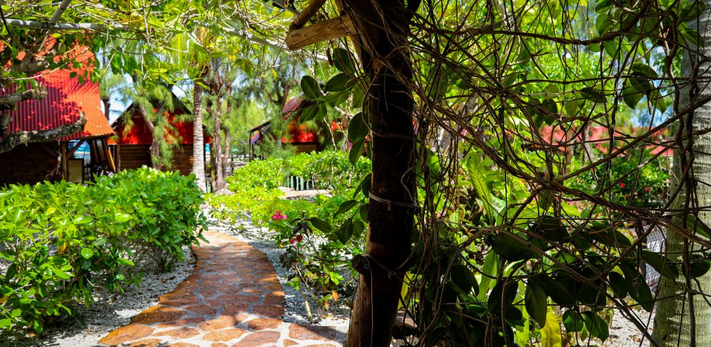 Pension Motu Aito Paradise Fakarava - Garten - Tahiti