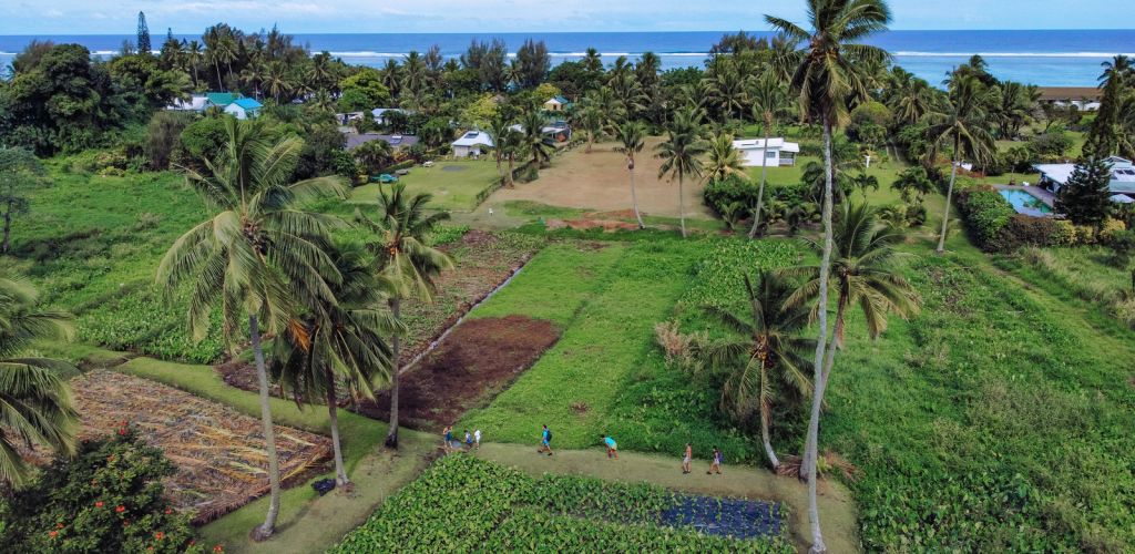 Ausflug Rarotonga Inland Discoveries Walk - Inselinneres - Cook Inseln