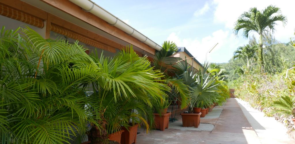 Pension Fare Ara Huahine - Eingang - Tahiti