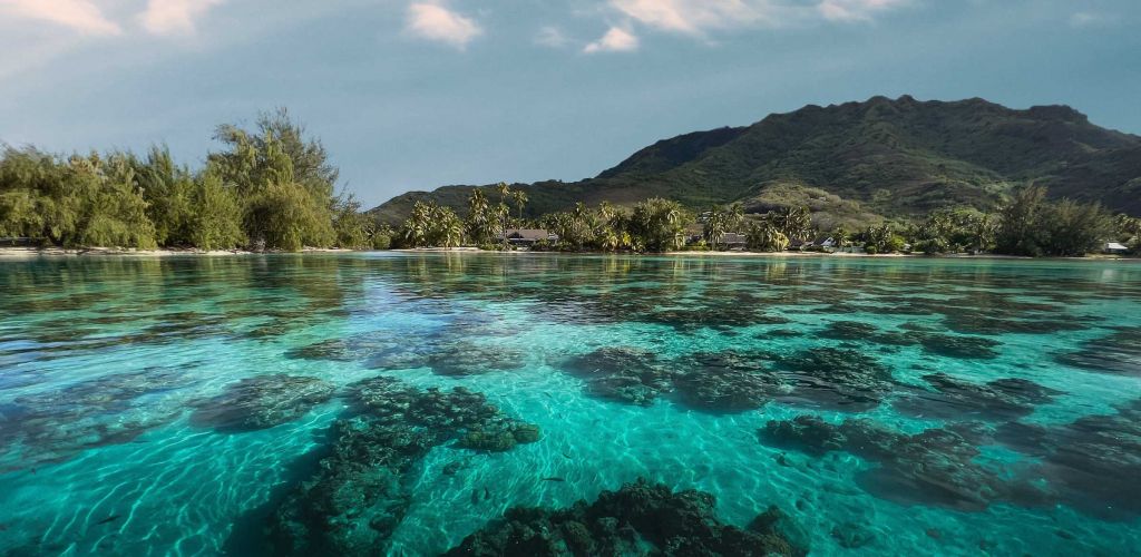 Pension Fare Tiaia Beach Moorea - Lagune - Tahiti