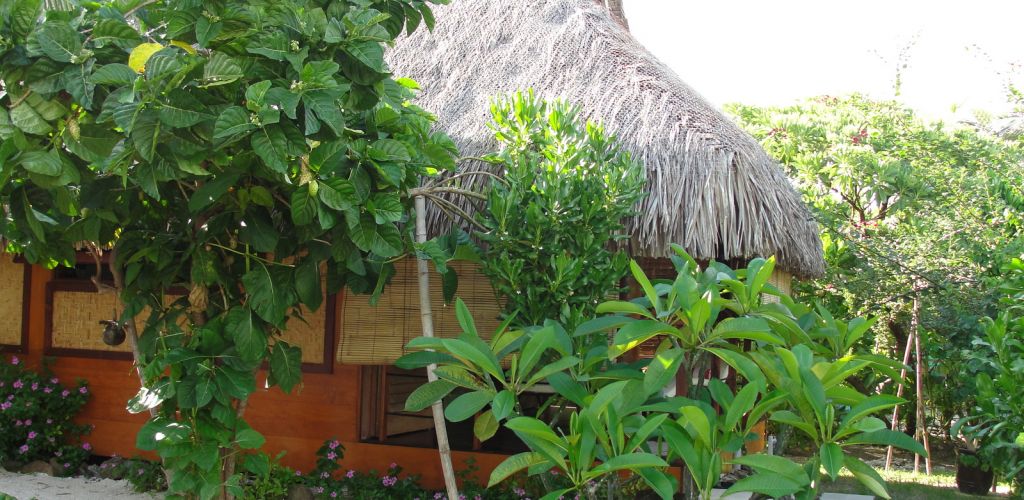 Pension Green Lodge Moorea - Bungalow - Tahiti