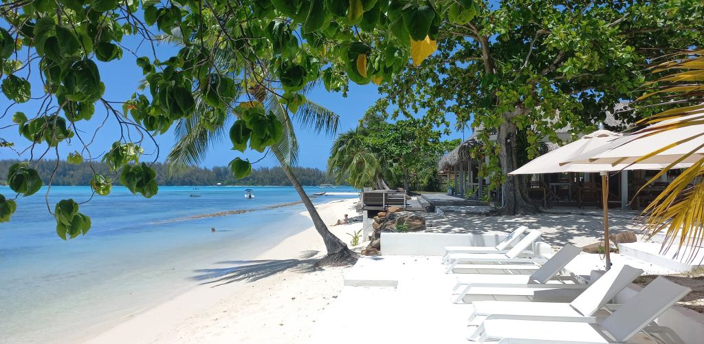 Pension Moorea Island Beach - Strand - Tahiti