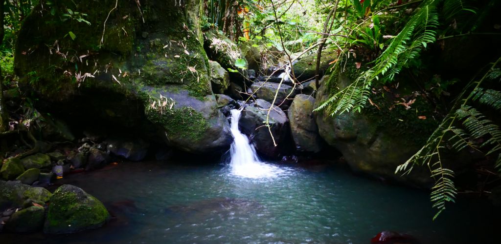 Moorea Ausflug - Wasserfall von Afareaitu - Tahiti