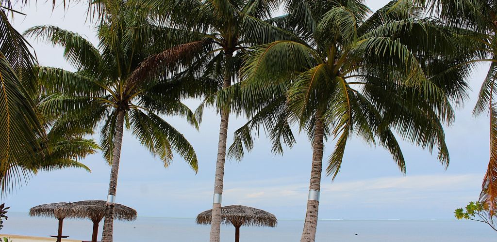 Hotel Apatoa Beach & Garden Village Raiatea - Strand - Tahiti