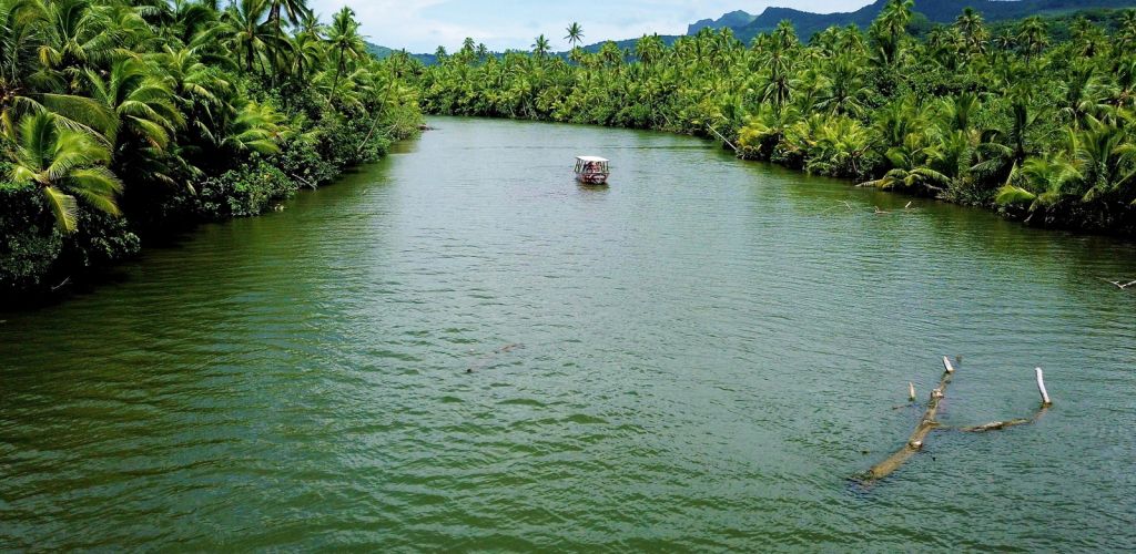 Raiatea Ausflug Bootstour, Faaroa River, Marae Taputapuatea - Fluss - Tahiti