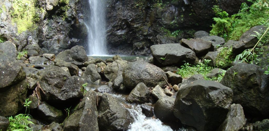 Raiatea Ausflug Wanderung zu den Wasserfällen - Wasserfall - Tahiti