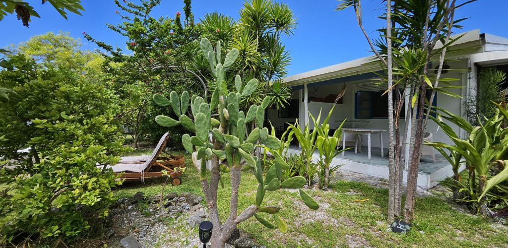 Pension Moana Breeze Eco Lodge Rangiroa - Bungalow - Tahiti