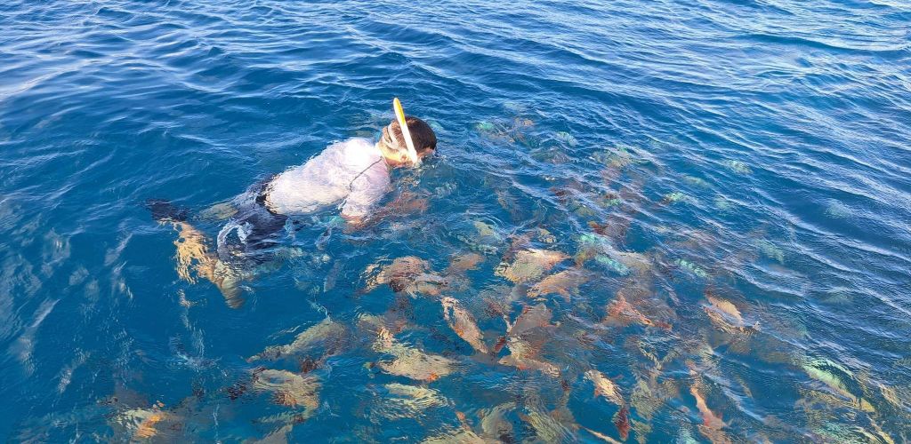 Rangiroa Ausflug Schnorcheln am Tiputa Pass - Fische - Tahiti