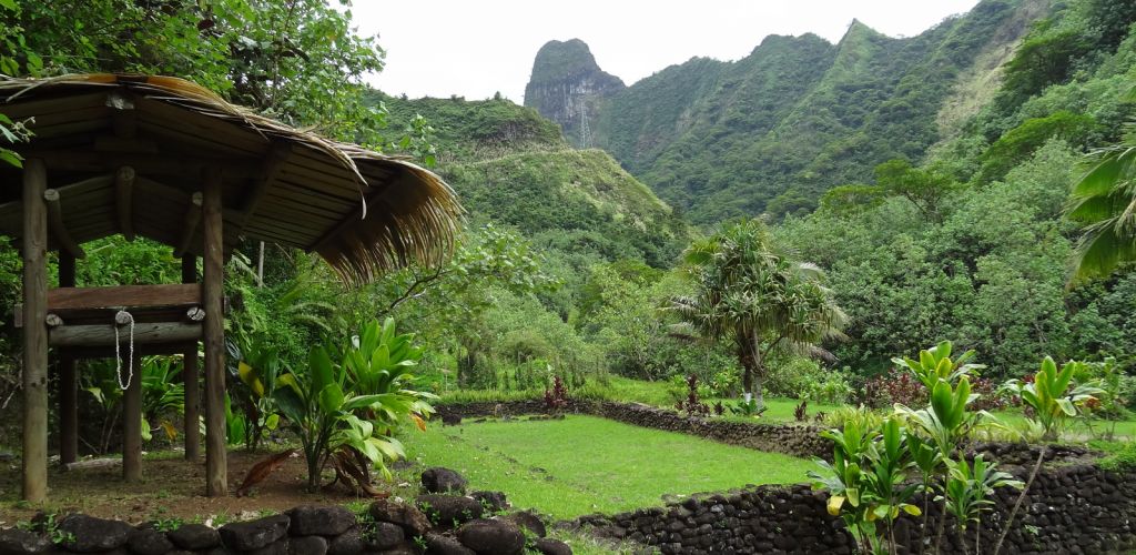 Tahiti Ausflug Geländewagensafari - Papenoo-Tal - Tahiti