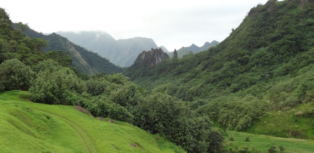 Tahiti Ausflug Geländewagensafari - Papenoo-Tal - Tahiti