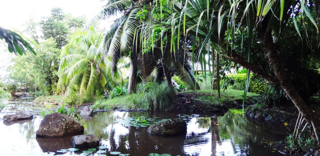Tahiti Ausflug Museum & Island Tour - Vaipahi Garden - Tahiti