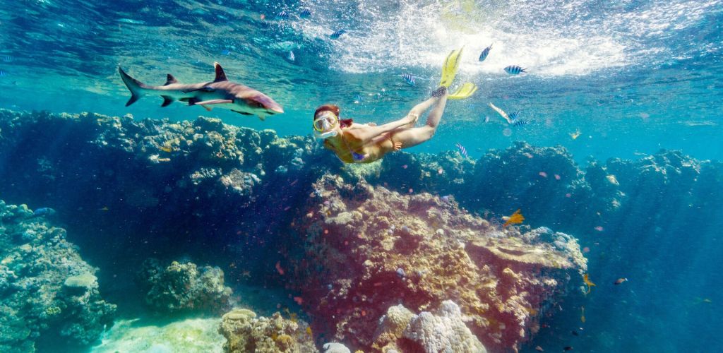 Kreuzfahrt Blue Lagoon Cruises - Schnorcheln mit Riffhaien - Fiji