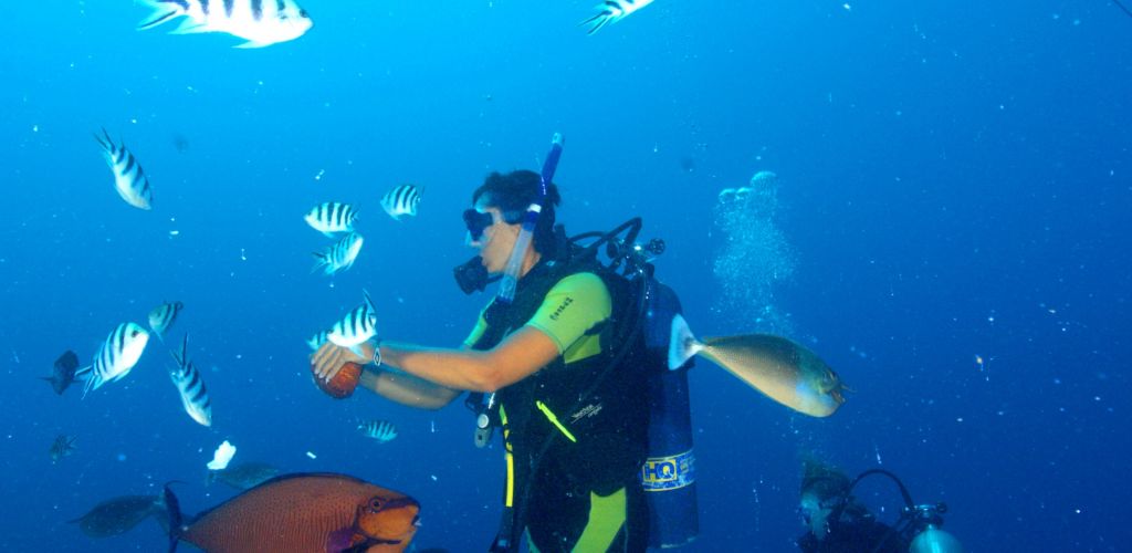 Ausflug Bubbles Below Aitutaki - Taucher - Cook Inseln