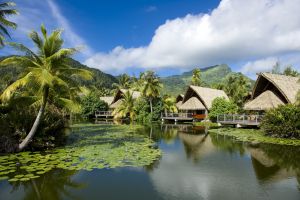 Premium Lake Bungalows