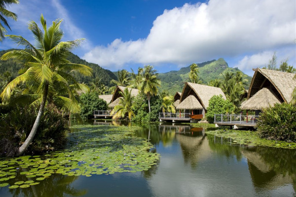 Hotel Maitai Lapita Village Huahine - Seerosenteich - Tahiti