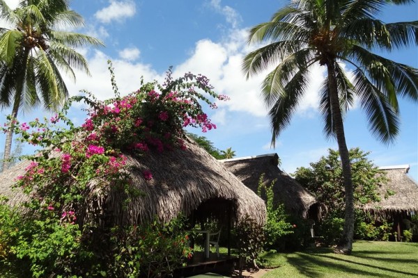 Hotel Hibiscus Moorea - Gartenbungalow - Tahiti