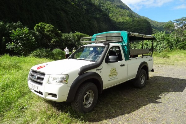 Ausflug Ganztages Safari im Geländewagen Tahiti - Safari - Tahiti