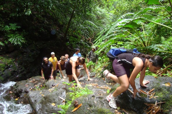 Ausflug Wanderung zu den Wasserfällen Raiatea - wandern - Tahiti