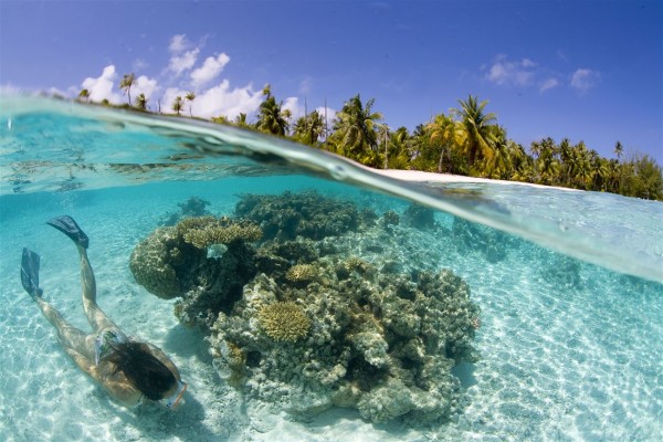 Ausflug Taha'a Bootstour mit Lunch auf einem Motu - Korallen - Tahiti